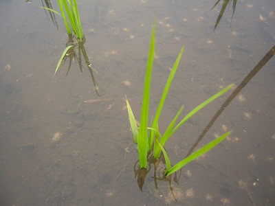 DSCN4091.JPG