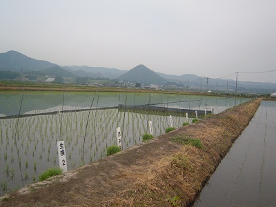DSCN4094.JPG