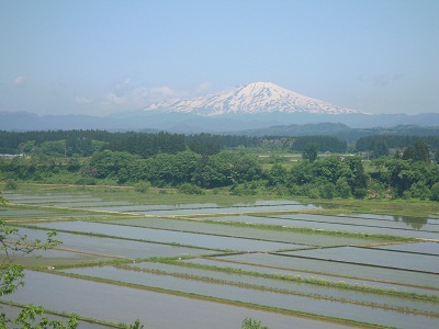 DSCN4100.JPG