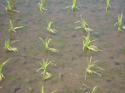 DSCN4105.JPG