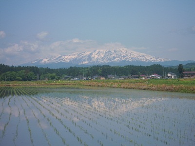 DSCN4109.JPG