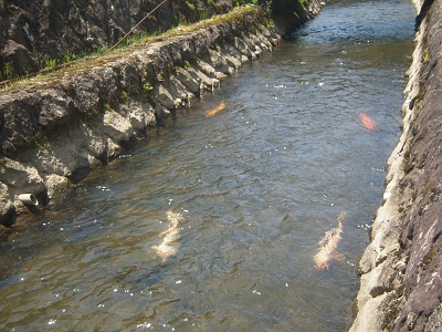 DSCN4111.JPG