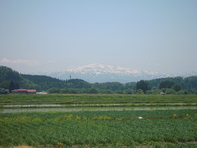 DSCN4116.JPG