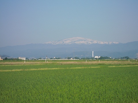 DSCN4162.JPG