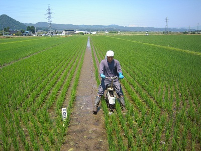 DSCN4168.JPG