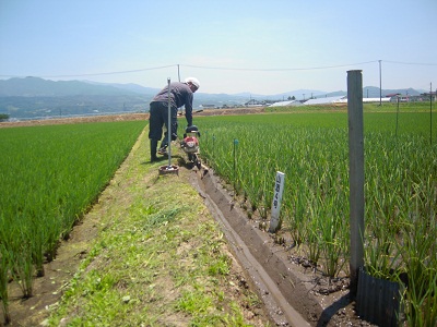 DSCN4172.JPG