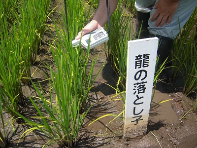 DSCN4177.JPG
