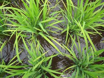 DSCN4188.JPG