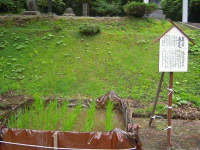 DSCN4189.JPG