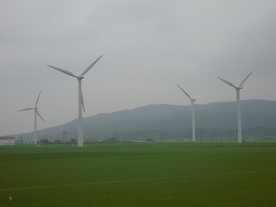DSCN4203.JPG