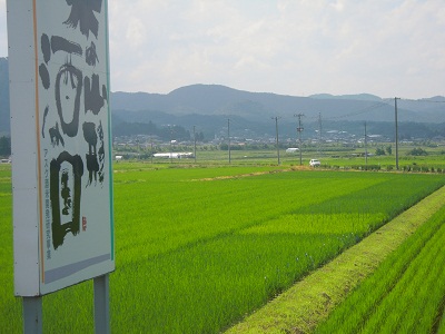 DSCN4223.JPG