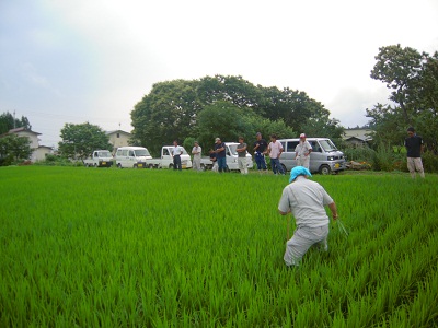 DSCN4233.JPG