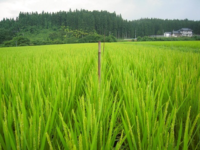 DSCN4285.JPG