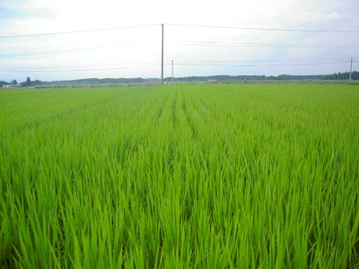DSCN4292.JPG