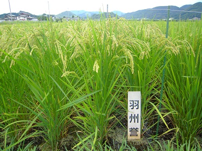 DSCN4307.JPG