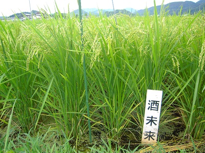 DSCN4310.JPG