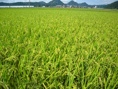 DSCN4337.JPG