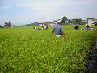 DSCN4377.JPG
