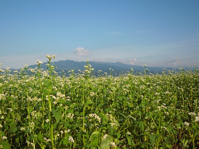 DSCN4381.JPG