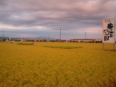 DSCN4391.JPG