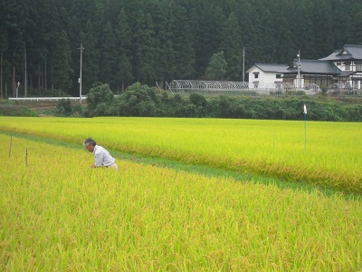 DSCN4401.JPG