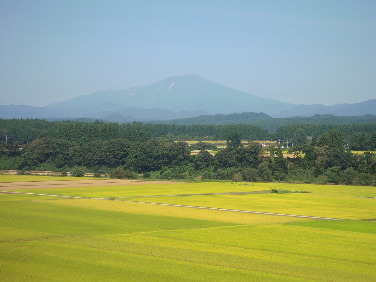 DSCN4436.JPG