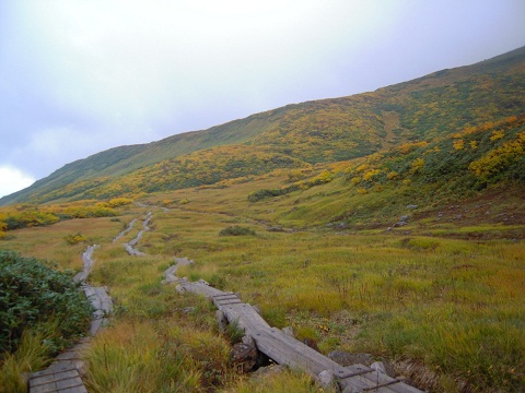 DSCN4474.JPG