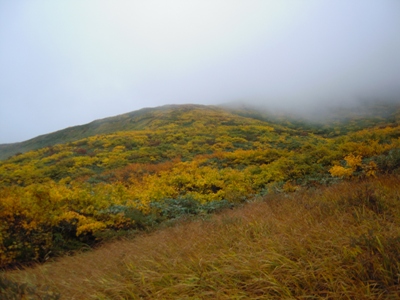 DSCN4475.JPG