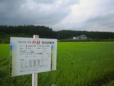 DSCN0213.JPG