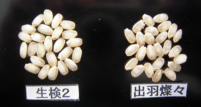 DSCN4795.JPG