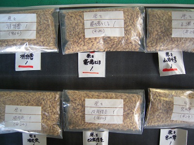 DSCN4888.JPG
