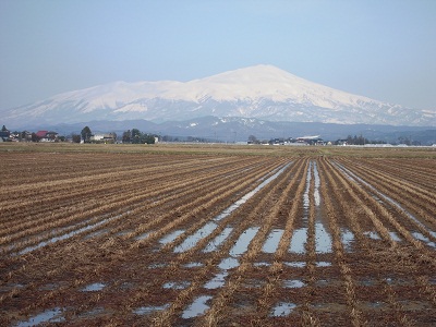 DSCN5033.JPG