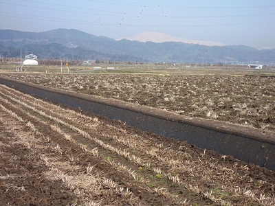 DSCN5077.JPG