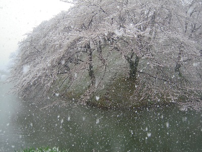 DSCN5127.JPG