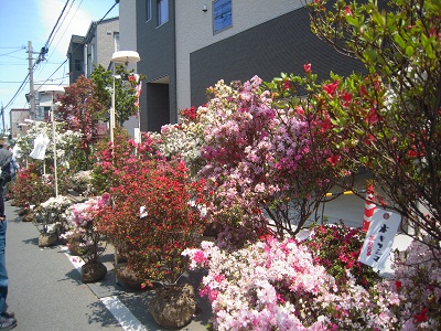 DSCN5205.JPG
