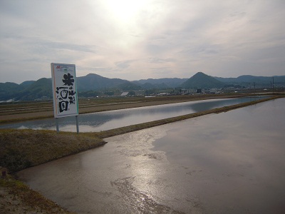 DSCN5213.JPG