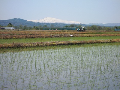 DSCN5289.JPG