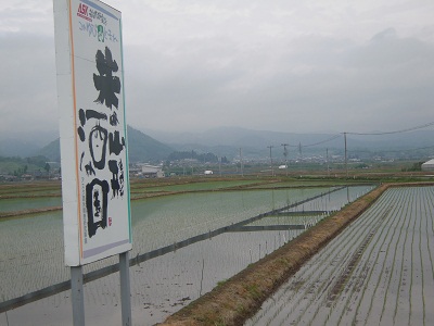 DSCN5293.JPG