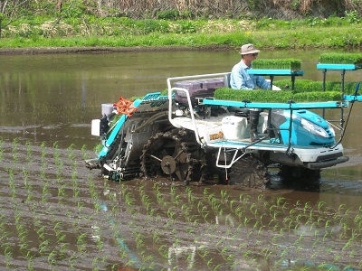 DSCN5310.JPG