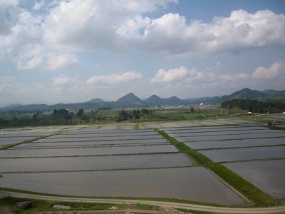 DSCN5311.JPG