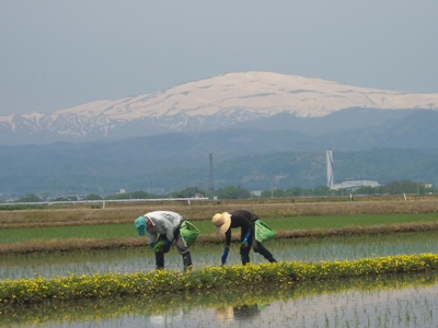 DSCN5328.JPG