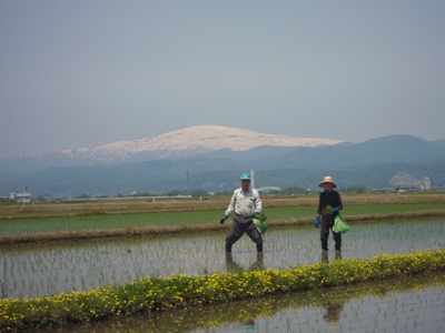 DSCN5332.JPG