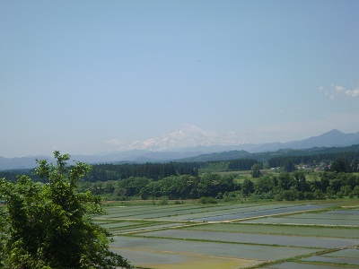 DSCN5336.JPG