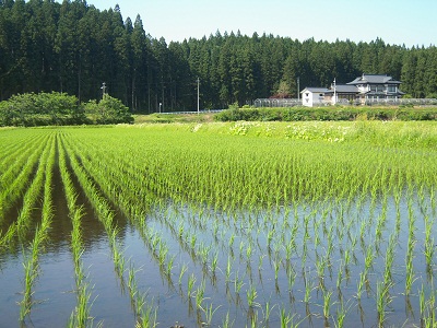 DSCN5343.JPG