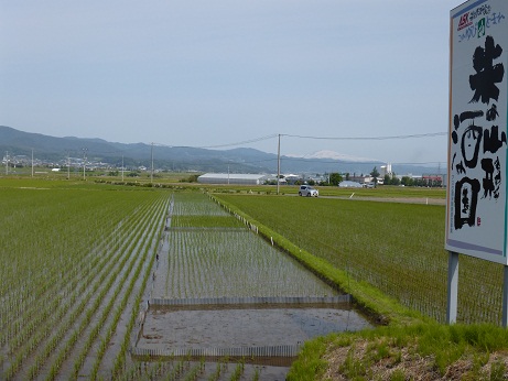 P1000016.JPG