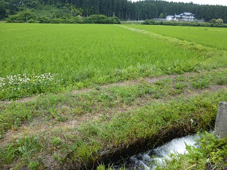 P1000083.JPG