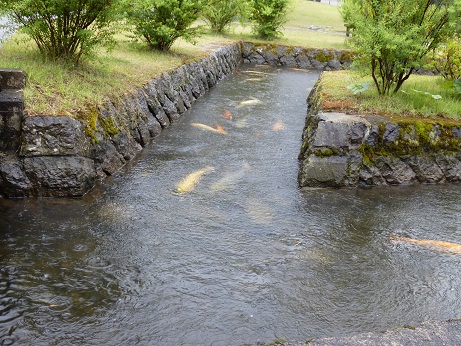 P1000087.JPG