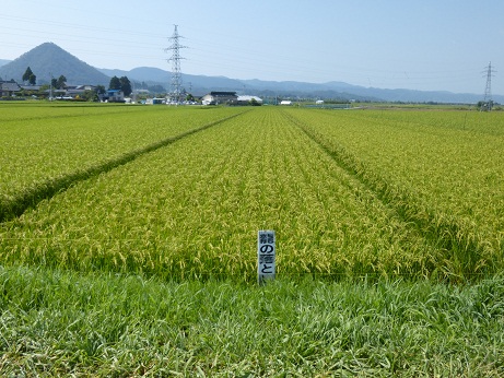 P1000227.JPG
