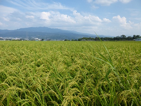 P1000228.JPG