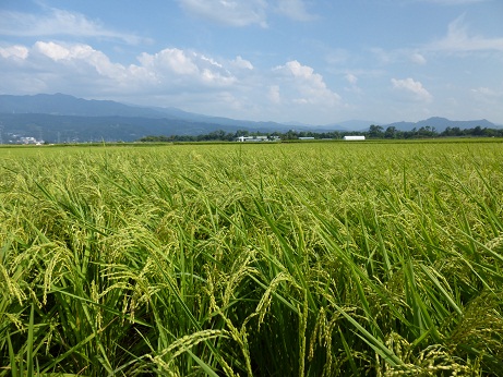 P1000230.JPG